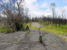 abwechselnd Lava und alte Chain of Craters Road